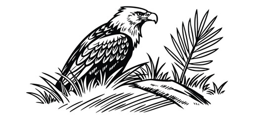 Vector illustration of a majestic bald eagle in a natural grassy habitat isolated on a white background