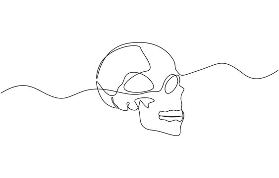recommend clip art: Human skull continuous one line drawing and and minimalist style, Single continuous line drawing black and white illustration of skull human head bone.