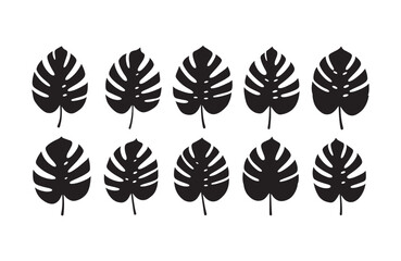Swiss Cheese Plant Leaves A Collection of Ten Black Silhouette Illustrations