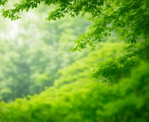 Fototapeta premium Calm Forest Background Illustration, Serene Woodland Graphic Wallpaper, Quiet Nature Forest Scene, Peaceful Trees Digital Art, Tranquil Forest Landscape Image