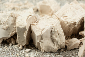 Compressed fresh yeast cubes close-up