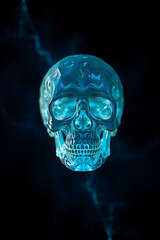 human skull on black