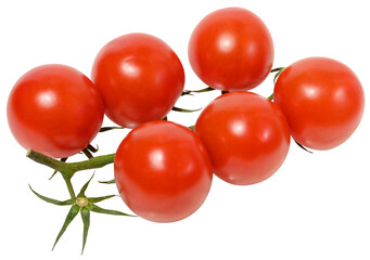 Fresh cherry tomatoes on the vine, isolated background.