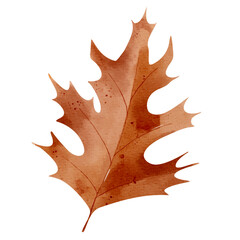 Watercolor autumn leaf. Hand painted fall foliage element for seasonal design, posters, cards or invitations