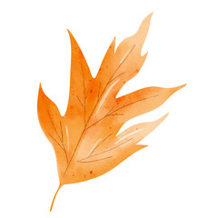 Hand painted fall leaf. Watercolor autumn element for botanical designs, crafts, cards and decorations