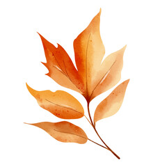 Single autumn leaf in watercolor. Isolated hand drawn fall foliage illustration for print and digital use