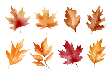 Golden autumn watercolor leaves, hand drawn clipart collection for inviting fall-themed creative projects