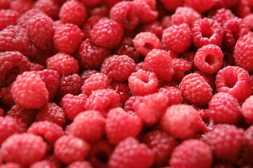 Sweet raspberry background. Full frame of fresh raspberries. Red ripe berry photo wallpaper closeup. Juicy berries. Vegetarian, vegan raw food. Organic bio product. From farm to table. Fruit pattern