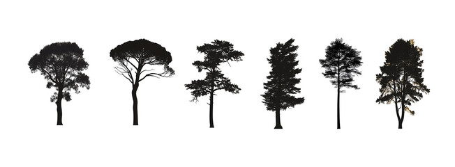 Fototapeta premium Set of various trees silhouettes