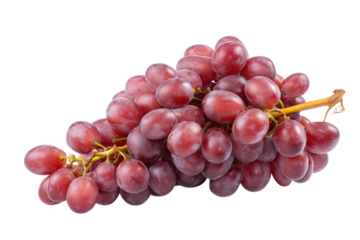  cluster of ripe juicy red grapes isolated on white background