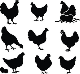 hen chicken icon set. chicken silhouettes, vector Illustration