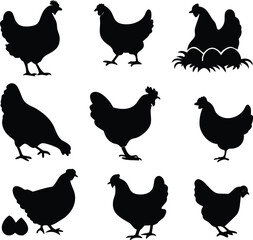 hen chicken icon set. chicken silhouettes, vector Illustration