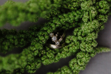 Wedding Rings
