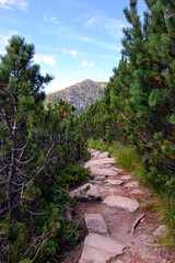 Trekking route. Mountain hiking trail leading from Chata pod Soliskiem to Predne Solisko peak located in the Slovak High Tatras. Slovakia 
