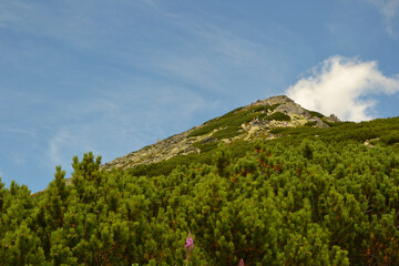 Views from the trekking route. Mountain hiking trail leading from Chata pod Soliskiem to Predne Solisko peak located in the Slovak High Tatras. Slovakia 