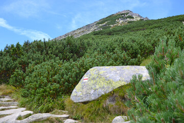 Views from the trekking route. Mountain hiking trail leading from Chata pod Soliskiem to Predne Solisko peak located in the Slovak High Tatras. Slovakia 