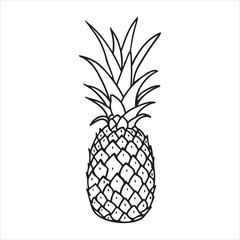 Obraz premium line art of Pineapple on the white background 