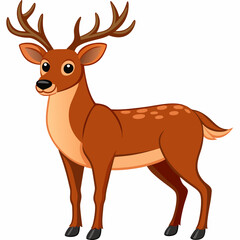 Fototapeta premium the majestic stag