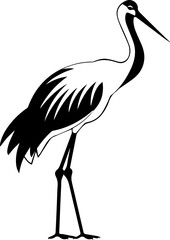 Black and white stork illustration