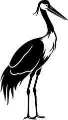 Black and white stork illustration