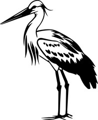 Black and white stork illustration