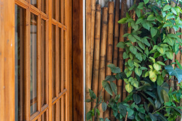 wooden window frames bamboo walls climbing plants vines pothos facade blur bokeh background