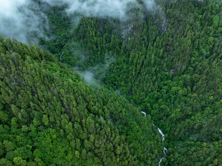 Aerial view of  beautiful foggy forest mountain landscape