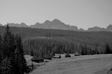 Olczyska Valley, Kopieniec Meadow with characterictic wooden cottages. Tatra Mountains, Zakopane,...