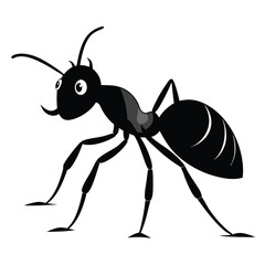 A detailed black and white illustration of an ant posing on a plain white background for design elements