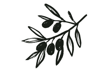 Olive branch with fruits brush ink sketch vector illustration © Victoria