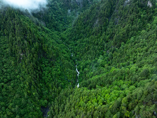 Aerial view of  beautiful foggy forest mountain landscape