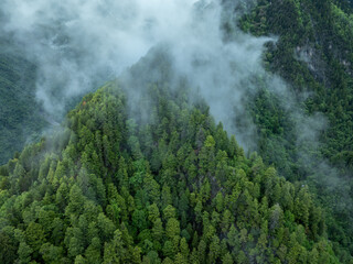 Aerial view of  beautiful foggy forest mountain landscape