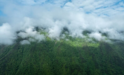 Aerial view of  beautiful foggy forest mountain landscape