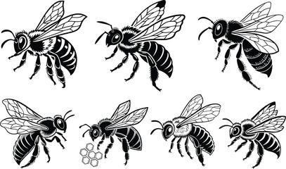 Bee Black vector illustration Art  Black silhouette
