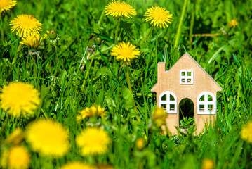 The symbol of the house stands among the yellow dandelions
