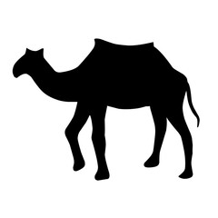 Camel Silhouette Illustration