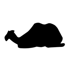 Camel Silhouette Illustration