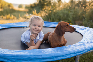 a three year old smiling girl playing with dachshund dog on trampoline in green sunny summer park