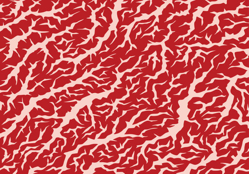 Meat marbled texture. Raw red fresh meat slice for cooking, aged steak pattern. Macro of premium cow meat background with structure and streaks. Flat cartoon vector illustration