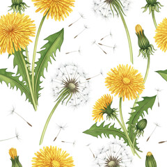 Obraz premium Watercolor Dandelion Flower and Seed Head Seamless Pattern