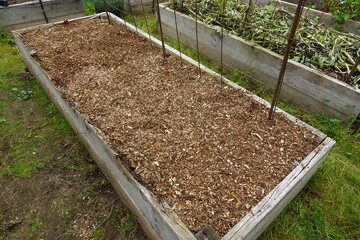 Raised garden bed filled with wood chips for mulching