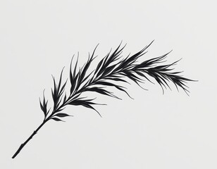 Obraz premium Intricate black and white botanical drawing of a plant, monochromatic study