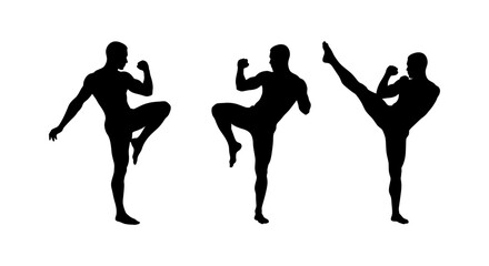 Powerful Martial Arts Silhouette of a Man Performing Kicks
