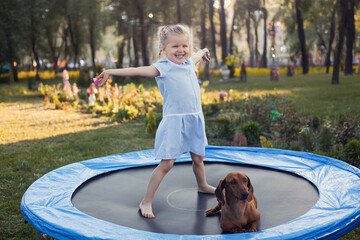 a three year old smiling girl playing with dachshund dog on trampoline in green sunny summer park