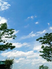 Obraz premium Blue Sky with White Clouds and Tree Branches – Ideal for Landscape Art, Weather Content, or Calming Design. Showcases a Clear Sky, Fluffy Clouds, and Natural Framing.