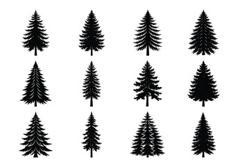 Obraz premium Christmas Tree and Fir Tree Set in Winter Forest Design