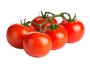 Tomaten isoliert auf wei&szlig;en Hintergrund 