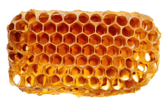 Golden Honeycomb Close-Up of a Honeycomb Structure - Powered by Adobe