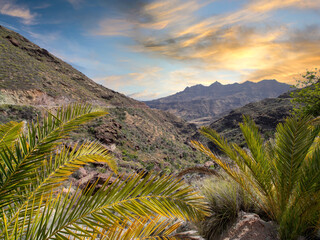 Gran Canaria Landesinneres bei Fataga