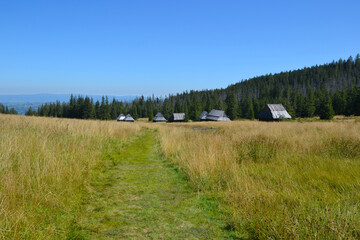 Olczyska Valley, Kopieniec Meadow with characterictic wooden cottages. Tatra Mountains, Zakopane, Poland